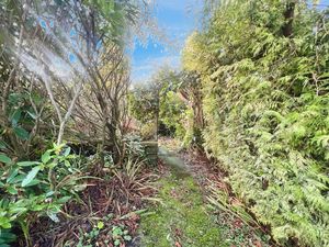 Garden- click for photo gallery